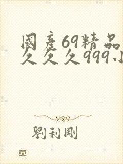 国产69精品久久久久999小说