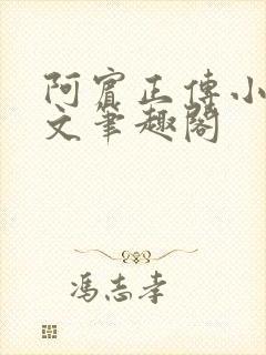 阿宾正传小说全文笔趣阁封面