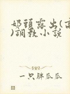 奶头露出(高h)调教小说