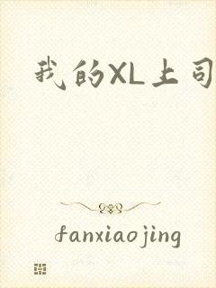 我的XL上司