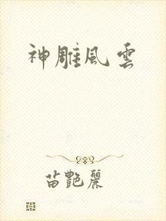 神雕风云封面