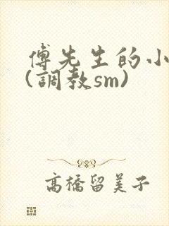 傅先生的小娇妻(调教sm)