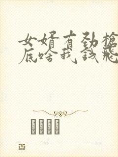 女婿有劲枪枪到底啥我钱飞了封面