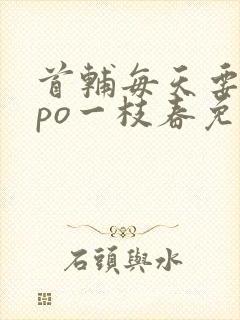 首辅每天要不够po一枝春免费阅读