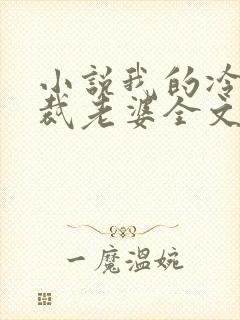 小说我的冷艳总裁老婆全文阅读