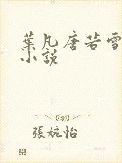 叶凡唐若雪医婿小说