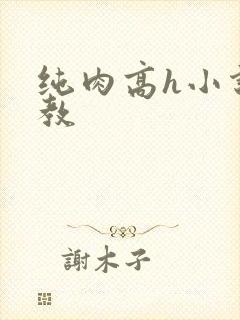 纯肉高h小说调教