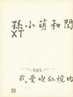 孙小萌和闫辰TXT封面