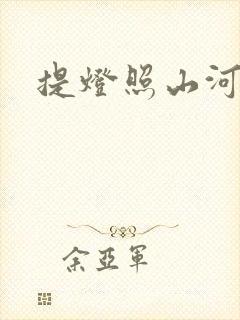 提灯照山河封面