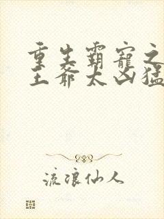 重生霸宠之摄政王爷太凶猛