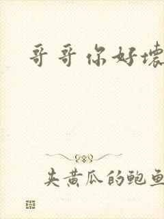 哥哥你好坏封面