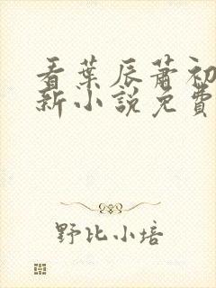 看叶辰萧初然更新小说免费全集