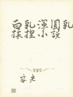 白乳浑圆乳摩擦揉捏小说