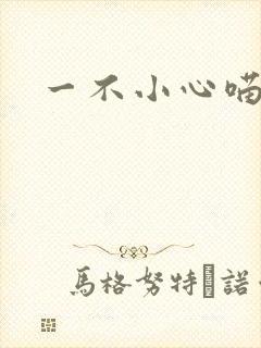 一不小心喵上你