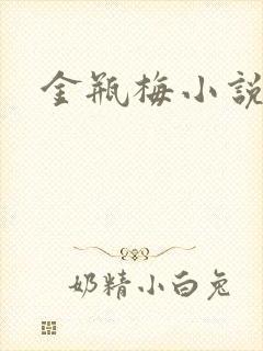 金瓶梅小说封面