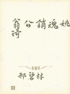 翁公销魂姚瑶琦琦