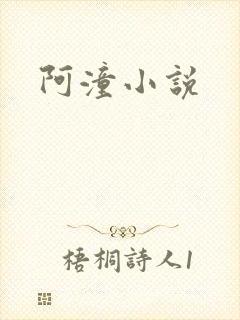 阿潼小说