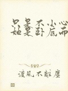 只是不小心发现她是卧底而已