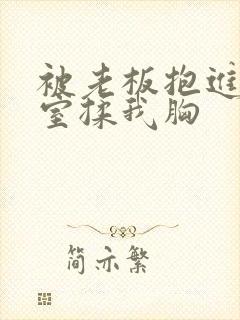 被老板抱进办公室揉我胸封面