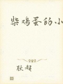 柴鸡蛋的小说封面