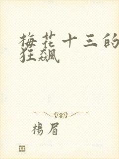 梅花十三的乳液狂飙封面