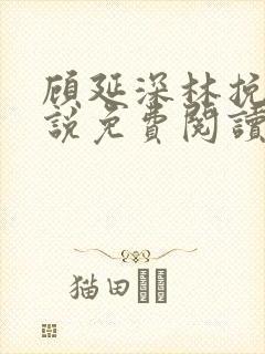 顾延深林挽音小说免费阅读最新章节