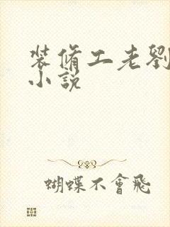 装修工老刘林雪小说