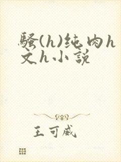 骚(h)纯肉h文h小说