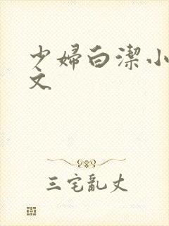 少妇白洁小说全文