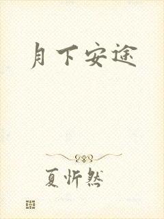 月下安途