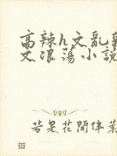 高辣h文乱乳h文浪荡小说苏瑾瑶封面