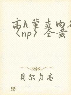 高h荤爽肉欲文〈np〉全黄