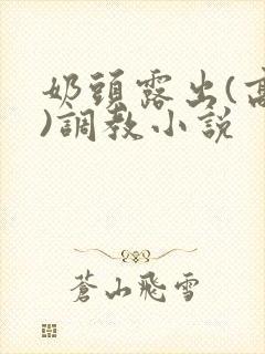 奶头露出(高h)调教小说封面