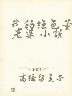 我的绝色董事长老婆 小说