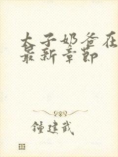 太子奶爸在花都最新章节封面