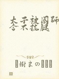 太子被国师c到合不拢腿封面