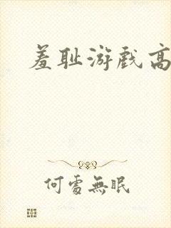 羞耻游戏高h封面