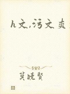 h文,污文爽文