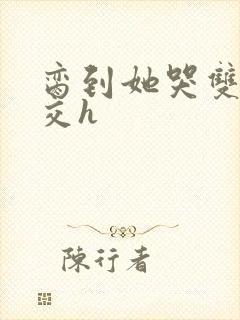 脔到她哭双根宫交h封面