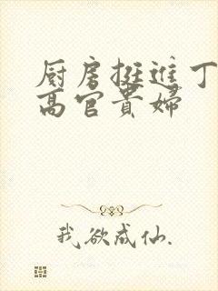 厨房挺进丁字裤高官贵妇