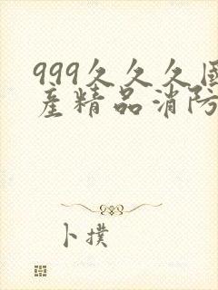 999久久久国产精品消防器材封面