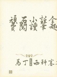 顽石小说全文免费阅读笔趣阁