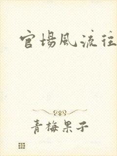 官场风流往事