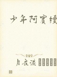 少年阿宾续集封面