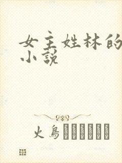 女主姓林的穿越小说