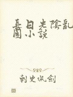 长日光阴乱作一团小说封面