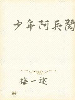少年阿兵阅读