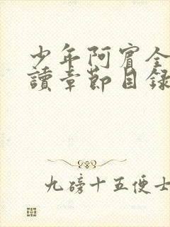 少年阿宾全文阅读章节目录封面