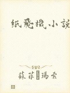 纸飞机小说封面