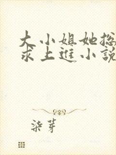 大小姐她总是不求上进小说封面